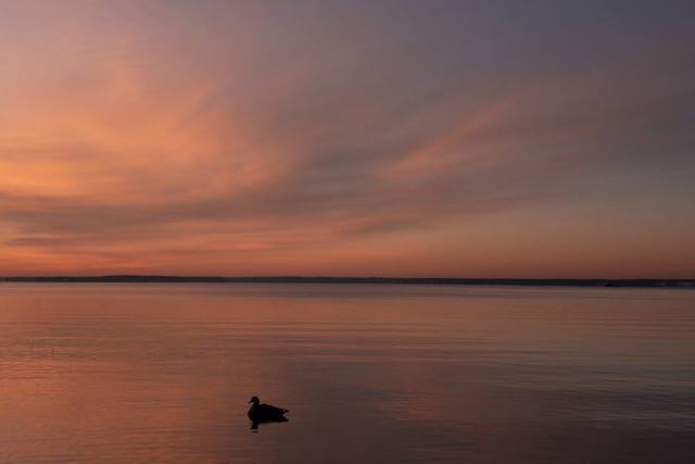 Contenu web : créer une stratégie éditoriale qui attire et convertit Contenu web : créer une stratégie éditoriale qui attire et convertit