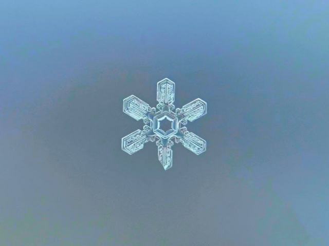 Créer un logo : construire une identité visuelle qui dure