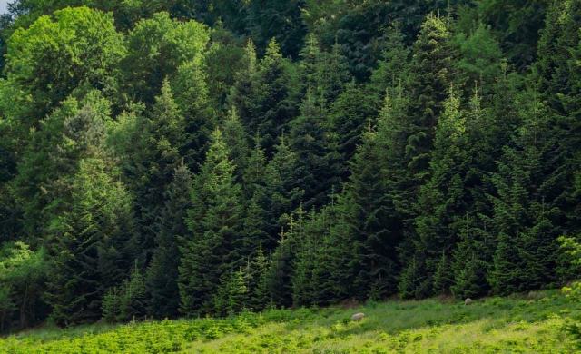 Cybersécurité : les bonnes pratiques pour protéger votre site et vos données