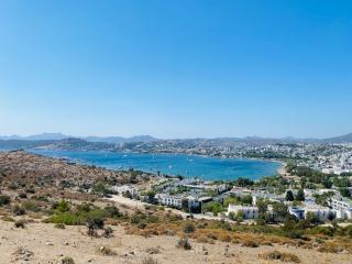 Vidéo marketing : créer des vidéos percutantes pour votre marque